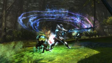 Kingdoms of Amalur Fatesworn