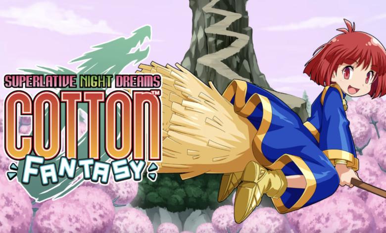 Review Cotton Fantasy Ps4 