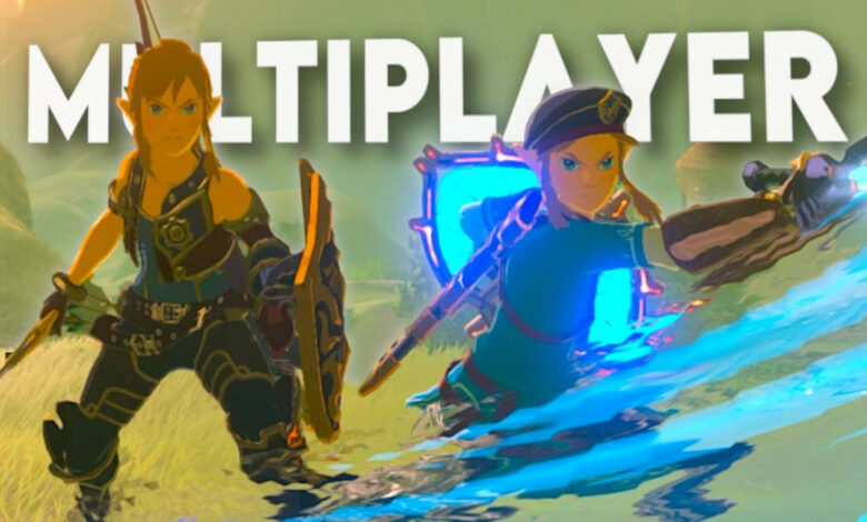 Brand New Zelda: Breath Of The Wild Mod Successfully Adds Multiplayer  Splitscreen